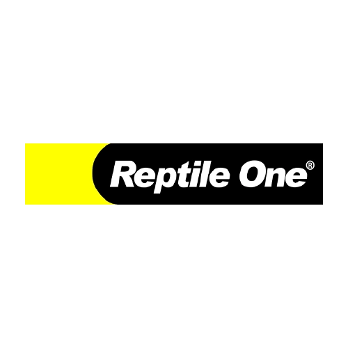 Reptile one