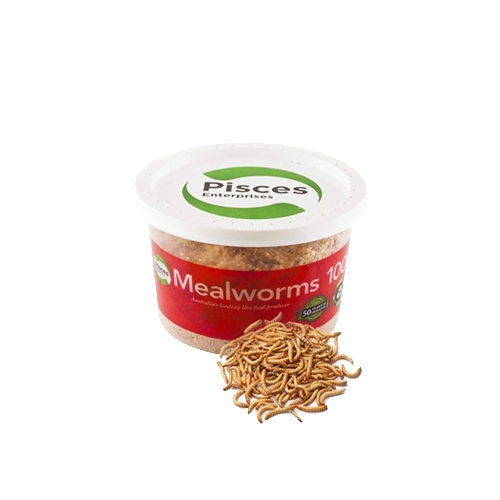 Pisces Mealworms